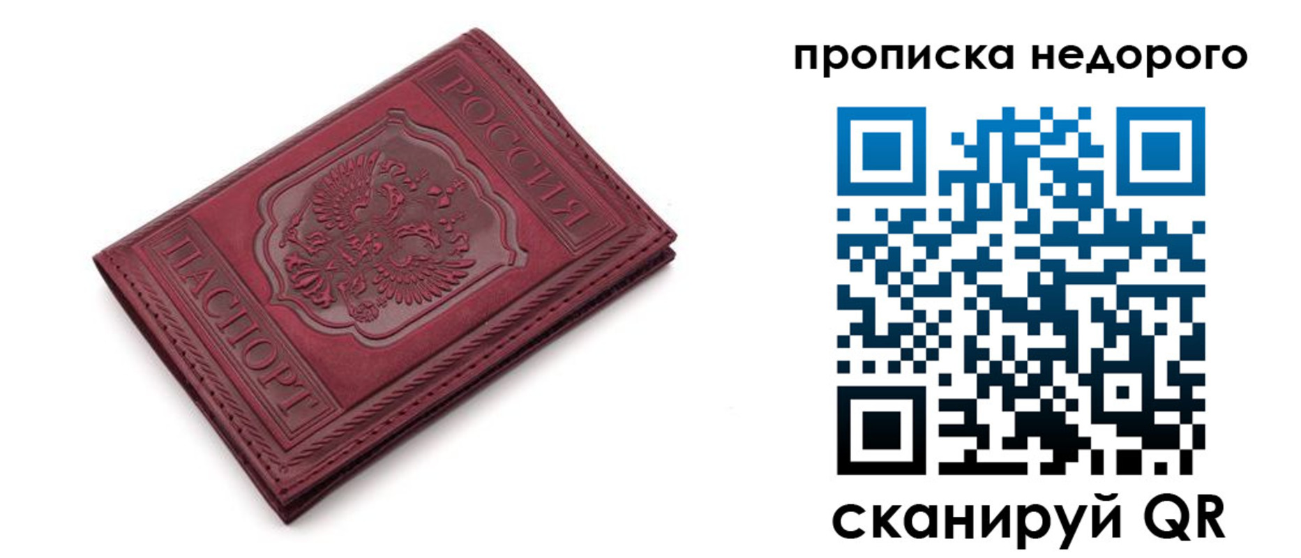 прописка гарантия в Луге